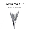 Wedgwood New Year's gift VeraWang Duchess crystal glass wine glass pair high-looking goblet Duchess red wine glass