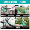 DAYIREN new brushless garden scissors, electric garden pruning shears, fruit tree scissors, greening gardening scissors, electric 3030 model bare metal