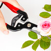 TOSRWELL German flower shears, household flower arranging scissors, potted plant pruning, gardening scissors, flower arranging pruning scissors, manual agricultural tools, fruit picking scissors, red model