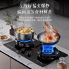 Royalstar gas stove gas stove double stove household 5.2kW natural gas double-burner stove embedded desktop first-class energy efficiency 70% thermal efficiency JZT-S51B