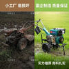 Yuchai new power 2026 hot model Yuchai micro tillage machine multi-functional tillage machine diesel engine small rotary tiller farming machine 186 Yuchai power + dry land knife + engine oil