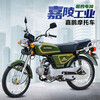 National 4 EFI 48 old model Jialingpeng JL70 straight beam four-stroke lightweight fuel-saving fuel-assisted motorcycle for the elderly green mesh wheel does not include invoice and cannot be licensed