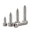 Guwanji 304 stainless steel hexagonal self-tapping screws HA speaker speaker cup head and tail screws audio self-tapping screws M2.5x6 100 pieces