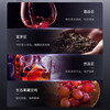 Casarte ice bar home small living room office small refrigerator ultra-thin embedded single door mini transparent glass door vertical beverage red wine tea refrigerator fruit preservation cabinet 142 liters high-end air-cooled model fully refrigerated with red wine area about 1.1 meters