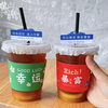 Miaopule Lemon Tea Cup Disposable Covered Milk Tea Cup for Street Fighting, Household Cup Set, Commercial Customized Cup (Five-piece Set) Green Rich-Cup-Flat Lid-Straw-Leak-proof Paper 50 Sets+700ml