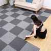 Zunchao Bedroom Carpet Square Splicing Full Cover Climbing Mat Office Billiard Room Home Living Room Carpet Cement Floor Straight Layer Classic Mix Z10+Z16 Half and Half 50*50cmPE Base 4 Pack (1 Square)