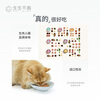 Everlasting cat wet food staple food canned raw bone and meat full price staple food canned cat food rabbit meat flavor 100g*6 cans