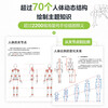 Principles of human body structure and painting teaching Xiao Weichun A zero-based introduction to human body structure modeling painting Free human body dynamic poster + video