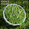 Chen Yifan rare white tea tea green tea Anji Baiye No. 1 tea tree fresh leaves and buds rare white tea 2 cans total 100g