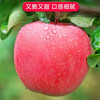 Jingning Apple SF Home Gansu Red Fuji Apple Fruit Fresh Seasonal Jingning Apple 10-12 Pieces 90-100mm Net Weight 8 Jin Strictly Selected Pack