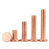 Guwanji copper flat head solid rivet flat cap copper nail GB109 hand hammered rivet national standard fasteners M2.5x5 (200 pieces)