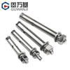 Guwanji 304 stainless steel expansion screw bolt extended pull explosion screw external expansion pipe nail explosion screw large national standard M10*100 1 piece -304 material