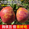 Ugly Apple Fruit Fresh 10 Jin Daliangshan Yanyuan Apple Seasonal Whole Box Pregnant Women Rock Candy Heart Authentic Red Fuji 9 Jin (Bag Fruit) 80-85mm (Not Included) Big Fruit Bigger and Sweeter