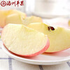 Luochuan Apple, Shaanxi Yan'an specialty Red Fuji seasonal apple fruit gift box, fresh apples, fresh, crispy and sweet, whole box wholesale, net weight 8.5 catties, 70-75mm color box, hot sale