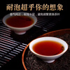 Wanglanchuan Wuzhou Guangxi Premium Liubao Tea Ten Years Old Dehumidified Black Tea Ripe Tea Boxed Gift Tea Wuzhou Specialty Eight Years Old Authentic Liubao Tea One Pound Paper Bag