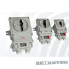 Explosion-proof lighting switch knob light switch single double triple single control double control SW10 16BZM220V380V explosion-proof foot switch