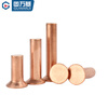 Guwanji copper countersunk head rivet GB869 percussion flat head flat cone head solid rivet copper rivet national standard accessories M3x6 (200 pieces)