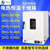 Renjuyi customized Shanghai DHG-9030A/9070A blast drying oven electric heating constant temperature laboratory industrial oven vertical DHG-9626A (624 liters) 300