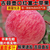 Jixian apples, bursting with sweetness, 2025 authentic Jixian apples, crispy, sweet and juicy Hukou apples, fresh fruit whole box shipped directly from the origin, 8.5 catties, 85mm large fruit, about 18 pieces, Jixian Hukou apples in season