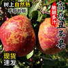 Ugly Apple Fruit Fresh 10 Jin Daliangshan Yanyuan Apple Seasonal Whole Box Pregnant Women Rock Candy Heart Authentic Red Fuji 9 Jin (Bag Fruit) 80-85mm (Not Included) Big Fruit Bigger and Sweeter