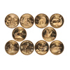 China's Rare Wildlife Commemorative Coins Rare Animals Wildlife Commemorative Coins Coin Collection Complete Set of 10 Boxes