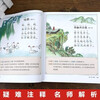 Complete 2 volumes of 300 Tang poems and 300 early education children's picture books for primary school students. 300 Tang poems and 300 Song lyrics. Genuine phonetic version of the ancient poetry book. Kindergarten baby pre-school starter.