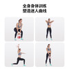 Chengyue soft kettlebell men and women fitness lifting dumbbell fitness sports equipment training 10KG vitality powder CY-565