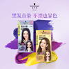 Schwarzkopf Feisili Black Hair Straight Dye Cream 7-998 Blackcurrant Purple Hair Dye Hair Cream Trend Bleaching-Free Color Dyeing