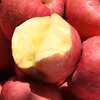 Jingxiansheng Shandong Yantai Red Fuji Apple, net weight 9 pounds, single fruit 75-80mm fresh fruit, direct delivery from the source, free shipping