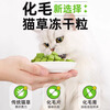 HELLOJOY chicken freeze-dried bucket cat grass grains cat snacks cat hair ball cream spitting hair balls kitten catnip 60g/can