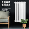Paderborn radiator large water channel household wall-mounted central heating self-heating radiator steel water radiator 60-12 columns heating 11-12 square meters