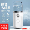 Essential for travel, hydrating instrument, nano sprayer, oxygen injection, portable facial moisturizing, small facial steamer, cold spray, handheld humidifying beauty instrument, pure white