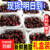 Chilean cherry crispy sweet imported fruit gift box for pregnant women 250g (net weight) 4J artificially selected 32-34mm super sweet