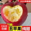 2025 Yunnan Zhaotong Ugly Apple Red Dew Fruit Fresh Full Box Seasonal Fuji Candy Apple Shaotong 5kg Medium Fruit (70-80mm)