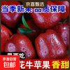 Origin: Gansu Tianshui Huaniu Apple, seasonal fresh fruit, sweet apple powder, 12 pieces in a selected gift box