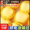 Authentic Shandong Yantai Creamy Fuji Apple Crisp, Sweet and Juicy 4.5-5kg 60-90mm