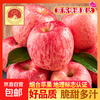 Authentic Yantai Apple Qixia Red Fuji crispy sweet fresh fruit whole box fresh apple fruit net weight 4.5 catties 80mm