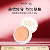 Shiseido Concealer H100 20g covers acne marks and brightens skin color cosmetics girl birthday gift