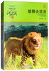 The Lion Goes Wandering, Animal Novels King Shen Shixi's Collection of Books, New Edition, Children's Literature Extracurricular Readings, Children's Books, Storybooks, Genuine