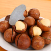 Erisi new macadamia nut opener macadamia nut opening tool nut shelling tool nut tool macadamia nut opener 8 pack
