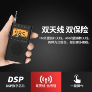 Panda PANDA 6124 Mini-Trockenbatterie-Radio für ältere Menschen Walkman für ältere Menschen Unterhaltung Kleines Taschenradio FM FM AM Halbleiter 6107 schwarz Digitalanzeige