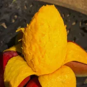 [Frutas y verduras seleccionadas] Mango Guifei, Hainan Sanya La fruta del mango Guifei es fresca en la temporada 3/5/10 jins empacada en una caja entera de 5 jins netos selección de fruta fruta extra grande [200 g o más]