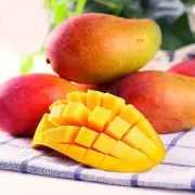 [Descubrimiento destacado] Hainan Sanya Guifei Mango Fruit Fresh Season 3/5/10 catties Wholesale Red Golden Dragon Selected 3 catties Small Fruit