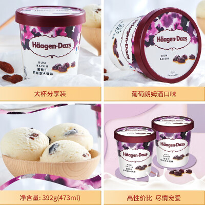 Haagen Dazs Grape Rum Ice Cream 473ml