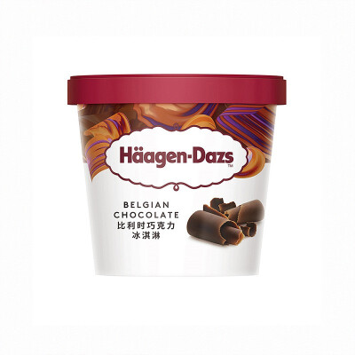 Haagen Dazs Belgian Chocolate Ice Cream 100ml