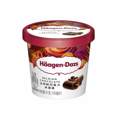 Haagen Dazs Belgian Chocolate Ice Cream 100ml