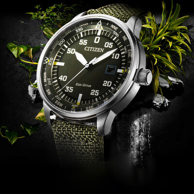 citizen army watch