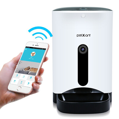 petwant automatic feeder