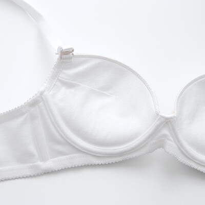 Tmicha Zoogit beAnglit - Not Your Bubbe's Brassiere: On Bands, Cups, Breast  Volume, and Brassieres - A Primer