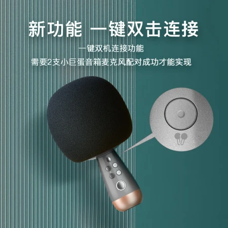 Sing it K song treasure small dome G2pro microphone microphone wireless bluetooth audio all-in-one set anchor capacitor mobile phone national live recording wireless family KTV camping K song artifact